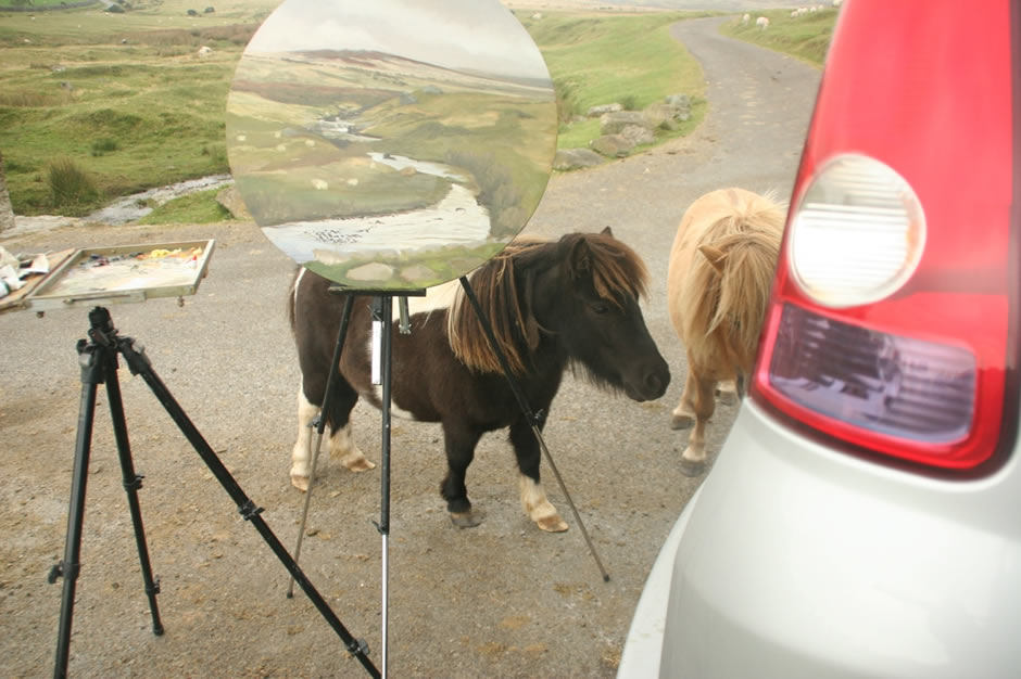 Tiny ponies on Dartmoor