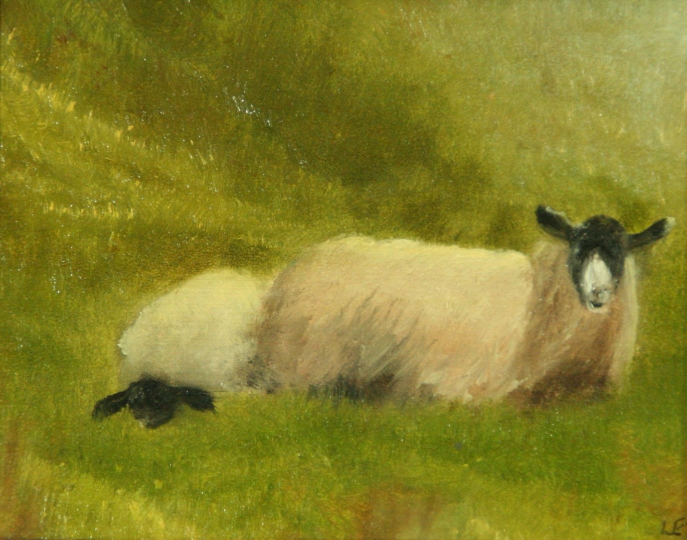 Ewe with Sleeping Lamb on Lee Abbey Estate